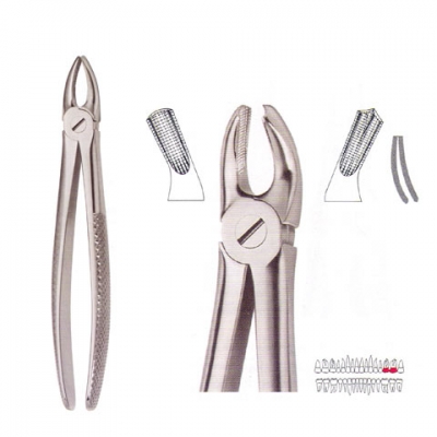 Extracting Forceps